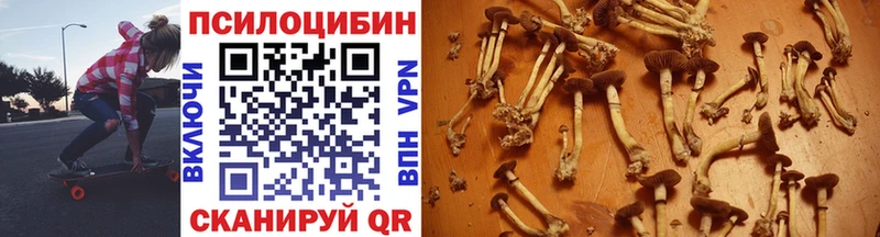 закладки  Олёкминск  Псилоцибиновые грибы Cubensis 